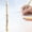 C, variant on Cute Erasable Pens Refillable Pens Fun Pens Cute Pen Kawaii Pens Cute Cartoon Animal Rollerball Gel Ink Pens Fine Point Erasable Pens
