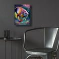 thumbnail image 5 of Epic Art 'Angelfish' by Dean Russo Acrylic Glass Wall Art, 12" x 16", 5 of 8