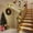 Pink-PK Home Decor, variant on karymi Rose Rattan Fairy Light String 98 Inch Pink Christmas Wedding Party Decoration Flexible LED Lights for Indoor Outdoor Garden Window Family Gifts up to 70% off up to 70% off up to 60% off