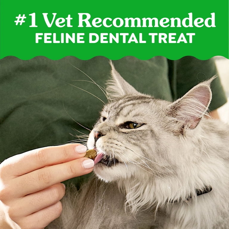Greenies Feline Dental Treats, Savory Salmon, 9.75 oz photo 6