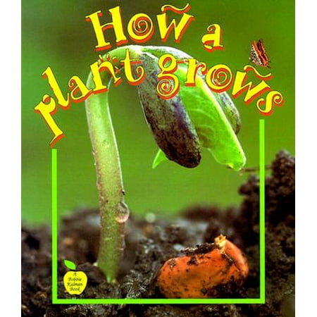 How a Plant Grows (Best Plants For Kids To Grow)