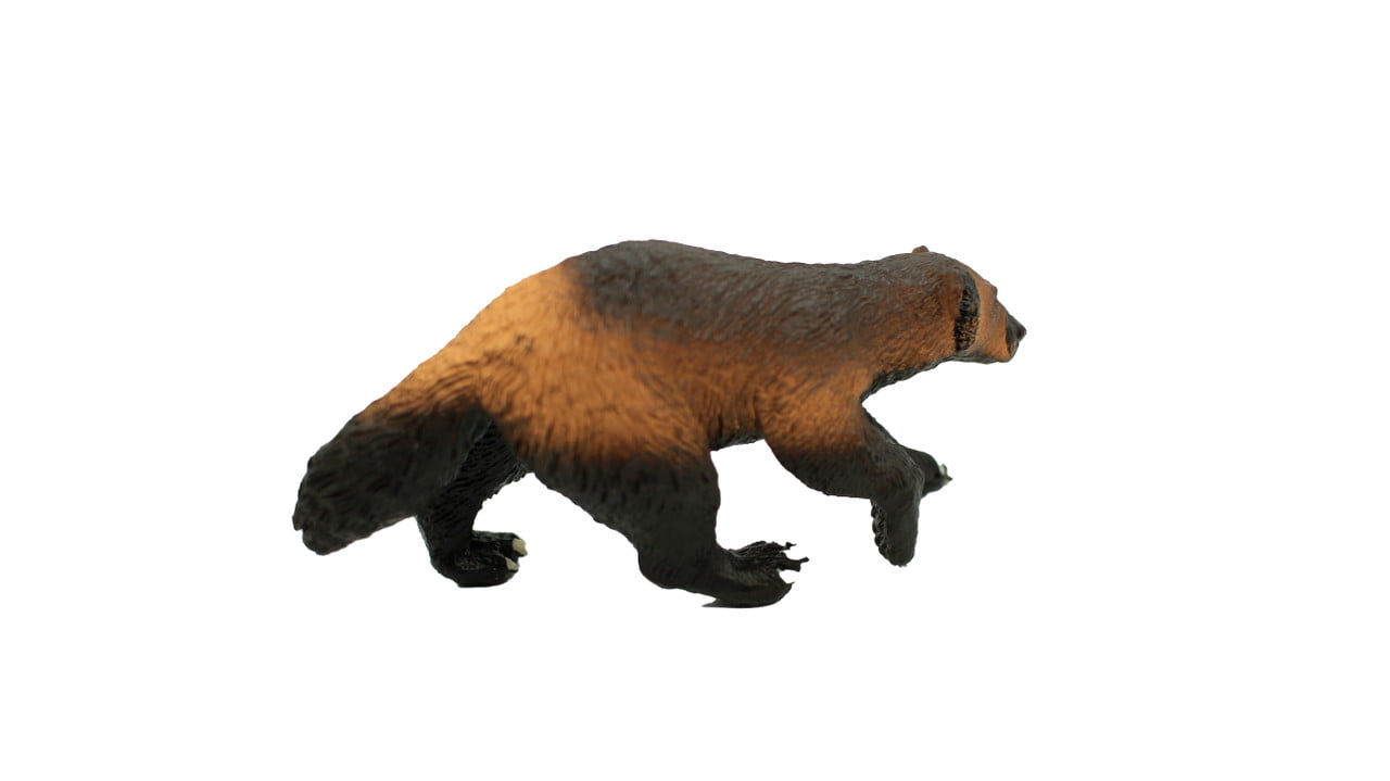Wolverine Realistic Small Toy Model Plastic Replica Forest Animal, Kids  Educational Gift 4