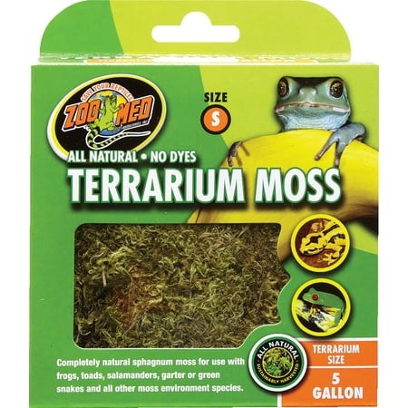 TERRARIUM MOSS (Best Moss For Terrariums)