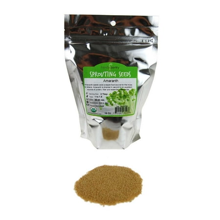 Amaranth Microgreens Seeds - Bulk Seed for Growing Micros, Indoor Gardening, Micro Greens Salad (1