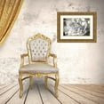 thumbnail image 3 of Hausenflock, Alan 24x17 Gold Ornate Wood Framed with Double Matting Museum Art Print Titled - Fancy Flower II, 3 of 4