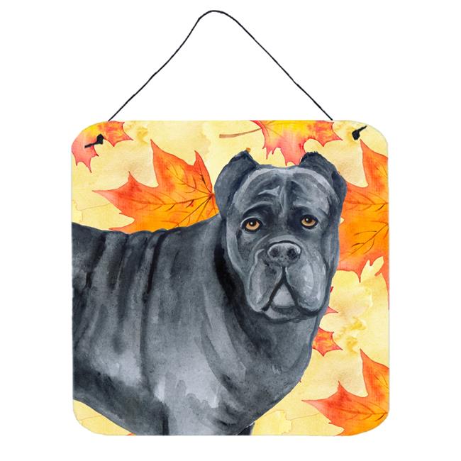 Cane Corso Automne Impressions Murales Ou de Porte, 6 x 6 Po.