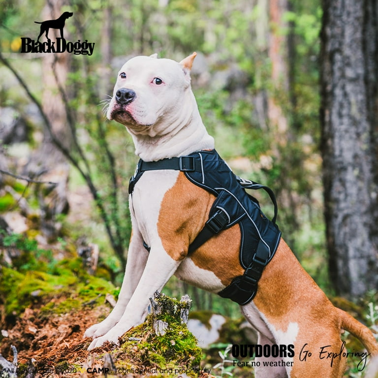 Dog harness vest for pitbulls sales