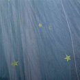thumbnail image 5 of Mosquitera para cama con dosel fosforescente, regalo para bebés, niños, niñas y niñas. Dosel para cama de bebé, niño, niña o cama de tamaño completo, 1 pieza, 5 of 5