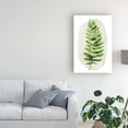 thumbnail image 3 of Trademark Fine Art 'Spot Fern II' Canvas Art by Grace Popp, 3 of 4
