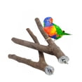 thumbnail image 3 of LAIQIEN Bird Toy Natural Wood Stand Perch for Cockatiel Conure Parakeet, 3 of 9