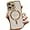 Gold, variant on for iPhone Case,[Compatible with MagSafe] ElectroPlated Soft Camera Lens Protection Clear Shockproof Phone Case (Gold,iPhone 14)
