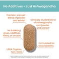 thumbnail image 5 of Himalaya Organic Ashwagandha Root for Stress, Energy and Adrenal Support, 670 mg, 60 Caplets, 5 of 10