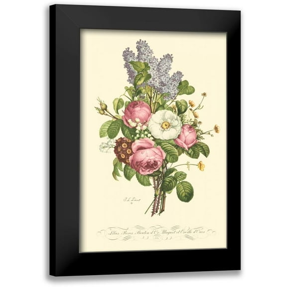 Prevost, T.L. 11x14 Black Modern Framed Museum Art Print Titled - Plentiful Bouquet III