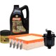 thumbnail image 1 of Kit De Afinación Con Aceite 10W30 Sintético, Bujías Platino, Filtro De Aire, Filtro Para Aceite Sintético Y Filtro De Combustible 8 Piezas Compatible con Honda Civic L4 1.6L DE 1996 A 2000, 1 of 1