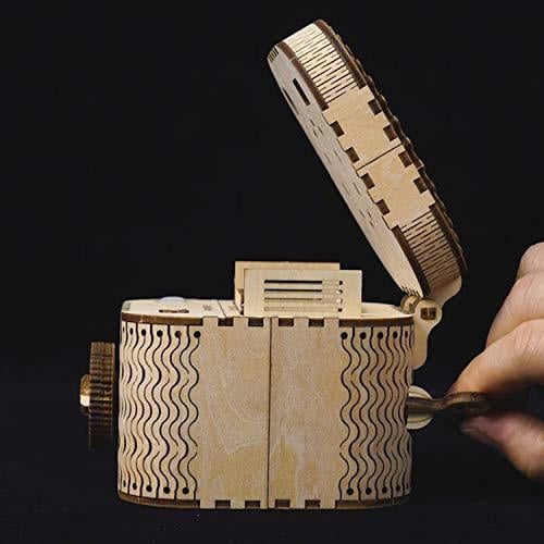RoWood Mechanical Gear Treasure Box 3D Wooden Puzzle Craft Toy
