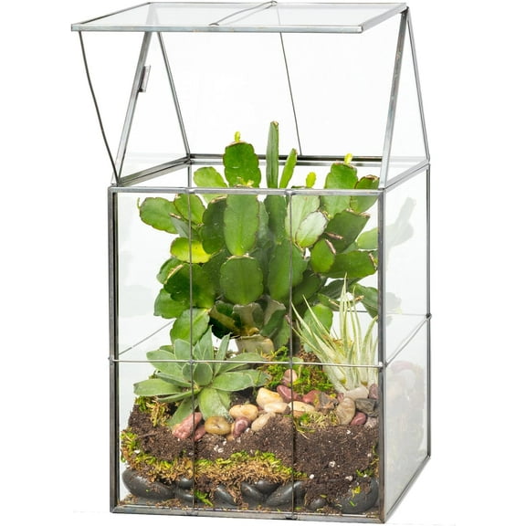 D'Eco Glass Geometric DIY Terrarium for Succulent & Air Plant- Hinged Roof Shaped for Indoor Gardening Decor- Create your own Flower, Fern, Moss Centerpiece (Large 5"x6"x11")