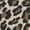 Leopard, variant on Wonder Nation Little and Big Girls Skate Sneakers