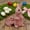 Pink-C, variant on Sulaicai Easter Decor Pink Resin Bunny Figurines, Flocked Cute Rabbit Statues for Indoor Outdoor Home Farmhouse Decor, Spring Garden & Tabletop Holiday Ornaments (B)