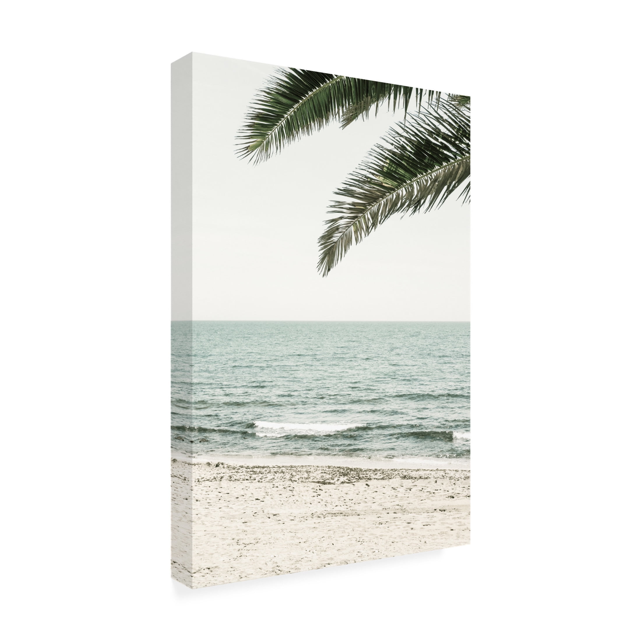 Trademark Fine Art Pictufy Studio III Solaris 03 Canvas Wall Art