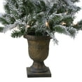 thumbnail image 5 of Northlight 3.5' Prelit Artificial Christmas Tree Potted Flocked Pine - Clear Lights, 5 of 6