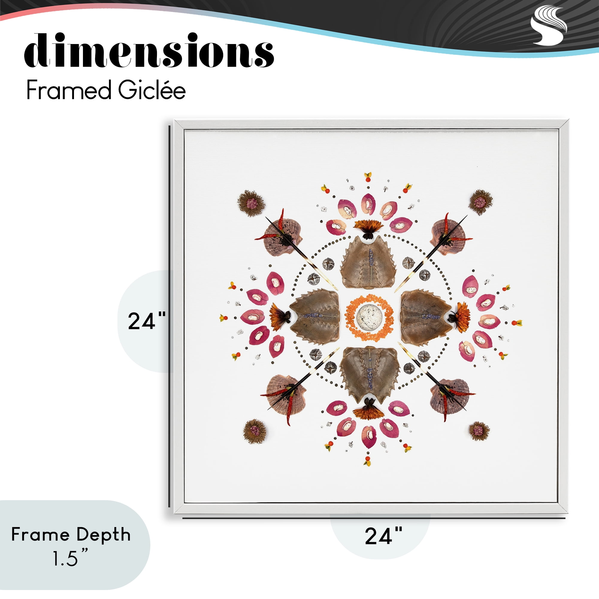 Stupell Industries Symmetrical Nautical Collection White Framed Giclee Art, design by Beth Adoette