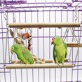 View all media