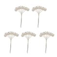thumbnail image 2 of 50 Piezas Bayas de Espuma Artificial, Bricolaje, Accesorios para Cabello, Pinzas Para Cabello, para Cabeza, Sombreros Beige BLESIY Ramita de bayas artificiales, 2 of 8