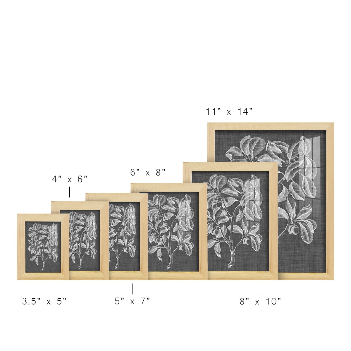 Graphic Foliage I - Framed Print w/glass - Natural Wood