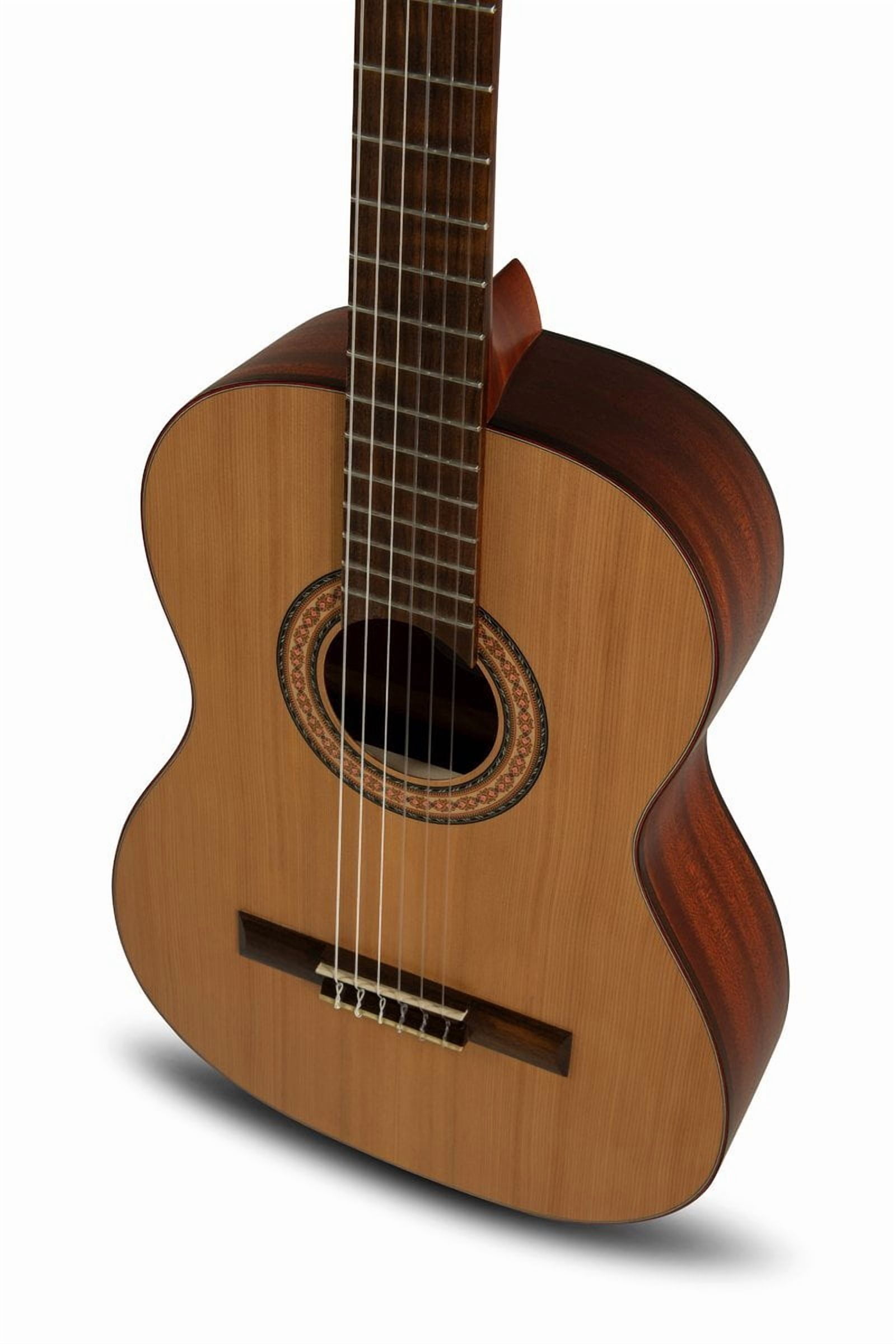 Manuel Rodriguez Tradicion T-62 7/8 Classical Guitar  Solid Cedar Top