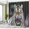 thumbnail image 5 of Ambesonne African Shower Curtain, Roaring Tiger Wildlife, 69"Wx70"L, Multicolor, 5 of 5