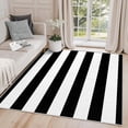 thumbnail image 1 of 3x4 Rug, Striped Door Mat Washable Non Slip Soft for Entryway, Black and White Stripe Rug, Geometric Carpet, Striped Home Decor & Gifts, 1 of 7