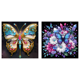 thumbnail image 1 of Pintura de diamante 5D DIY Kit de taladro parcial con forma especial Mariposa de ensueño 30x30cm, 1 of 7