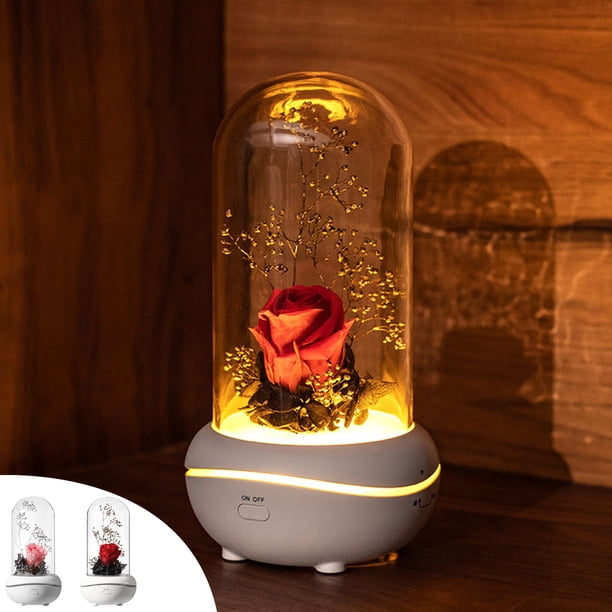 Difusor de Rosas Led, Humidificador de Flor Eterna, Difusor de Aceites Aromáticos, Luz Nocturna Relajante, Decoración para El Hogar y La Oficina, Perfecto para Spa, Yoga, Dormitorio, Alimentación Por