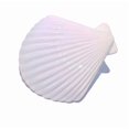 thumbnail image 1 of Mainstays Beach Towel Clips, Seashell, 2 Pieces, 1 of 6