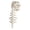 A, variant on Dinosaur Skeleton Costume 3D Spinosaurus And Plush Spine Suitable For Halloween Role Playing And Dress Up Games