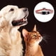 thumbnail image 3 of Collar para perro con diseño geométrico de arándanos, 3 of 5