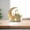 C - A, variant on Junepar Moon Desktop Ornament Ramadan Eid Acrylic Decor Small Tabletop Decor for Home & Festival Use