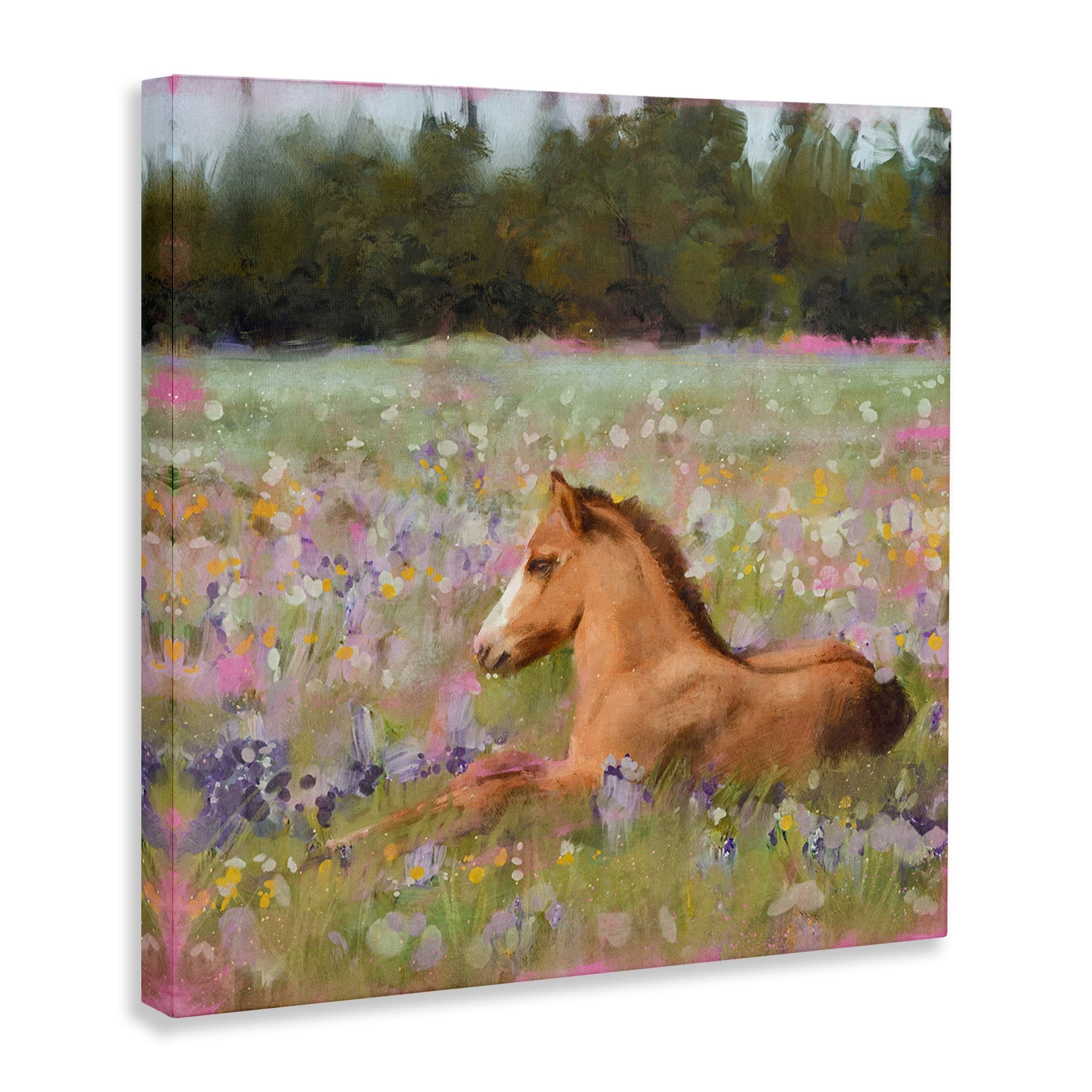 Stupell Industries Foal Horse Lounging Flower Meadow Animals & Insects Painting Gallery Wrapped Canvas Print Wall Art