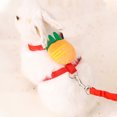 thumbnail image 2 of Cute Rabbit Harness Leash Set Cartoon Carrot Strawberry Fruit Pattern Adjustable Bunny Harness Leash For Rabbit Kitten Small Pet Animals, 2 of 9