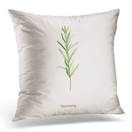 Green Sofa Pillows CMFUN Colorful Appetizing Handpainted Watercolor with Rosemary in Vintage Style Green Artistic Pillows case 20x20 Inches Home Decor Sofa Cushion Cover ()
