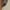 01*Khaki, variant on amkenre Cargo Shorts for Womens Fashion Summer Casual Sleeveless Suspender Short Jumpsuit Casual Summer Plus Size Beach Shorts Comfy Lounge Shorts