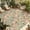 Light Green Light Pink, variant on Pink Flowers Outdoor Rug for Patio/Deck/Porch, Non-Slip Large Area Rug 5 x 8 Ft, Romantic Botanical Floral Leaves Plants Indoor Outdoor Rugs Washable Area Rugs, Reversible Camping Rug Carpet Runner