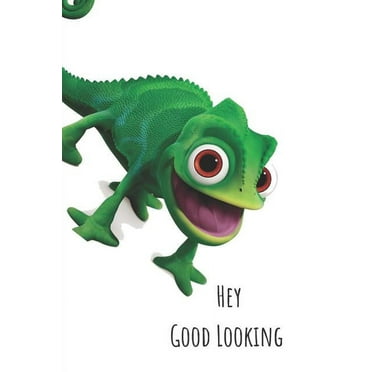 Hey Good Looking: Creative Funny Writing Journal