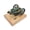 M17 (Green), variant on Mini Four-Stroke Gasoline Engine Model Kit, Brass Stainless Steel on Wood Base, Desktop Collectible Gift for Adults & Hobbyists