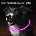 thumbnail image 2 of NOVKIN 2-Pack LED Dog Collar , Light Up Dog Collars,Rechargeable Dog Lights for Night WalkingUniversal, Reusable Safety Necklace for Small Medium Larg, 2 of 4