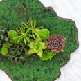 thumbnail image 3 of BESTYASH Artificial Moss Mat - Green Decorative Plastic Turf for Indoor and Outdoor Garden, Home, Office Decoration, 3 of 8