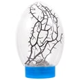 thumbnail image 1 of Miangastore Ecosphere Closed Ecosystem Small Fish Tank Shrimp Ecosystem Portable Fish Tank, 1 of 9