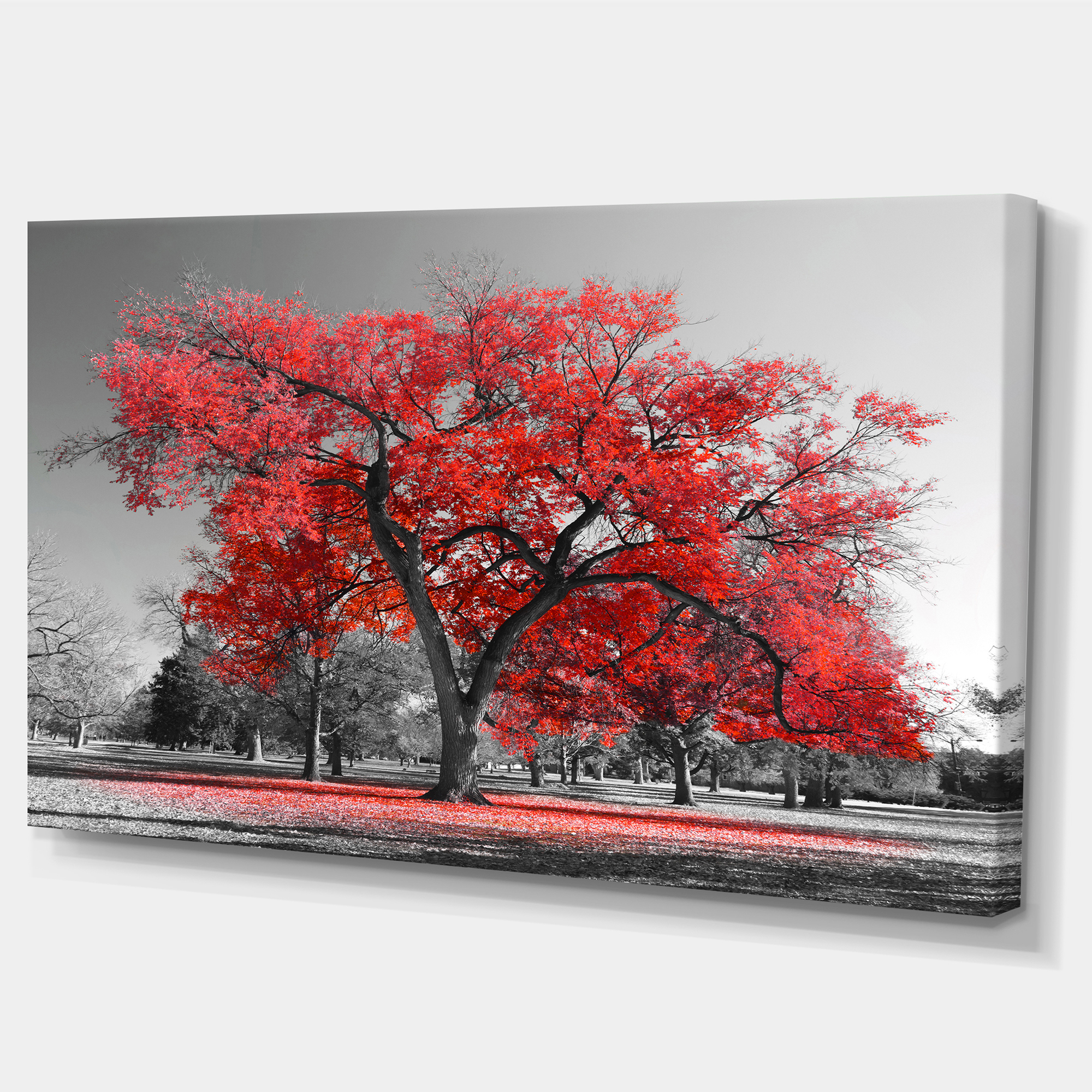 Designart 'Big Red Tree on Foggy Day ' Landscape Canvas Art Print