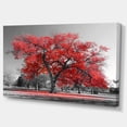 thumbnail image 2 of Designart 'Big Red Tree on Foggy Day ' Landscape Canvas Art Print, 2 of 3