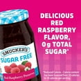 thumbnail image 4 of Smucker's Sugar Free Red Raspberry Preserves - 12.75 oz (Pack of 1), 4 of 5